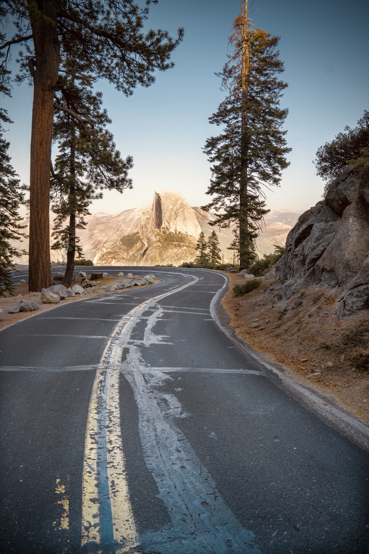 Half Dome catching first light from Glacier Point Road, framed by tall pines.